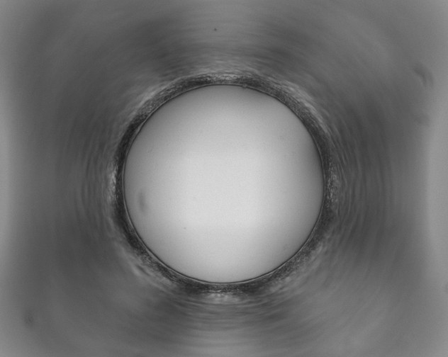 X0000111870596200907231153