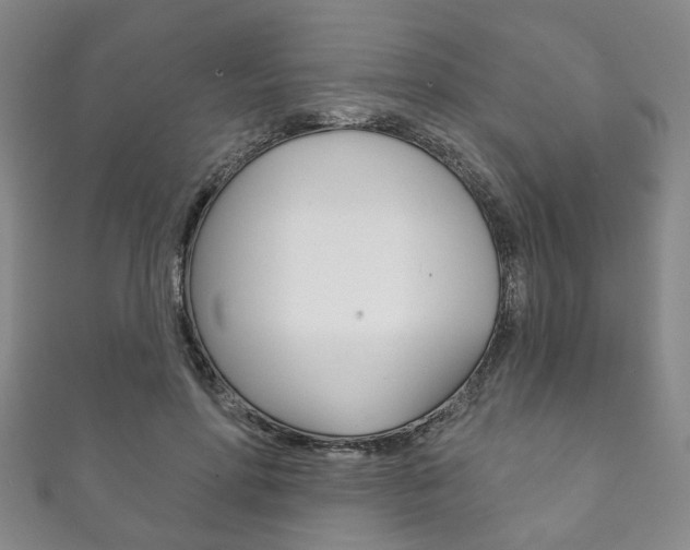 X0000111870598200907231153