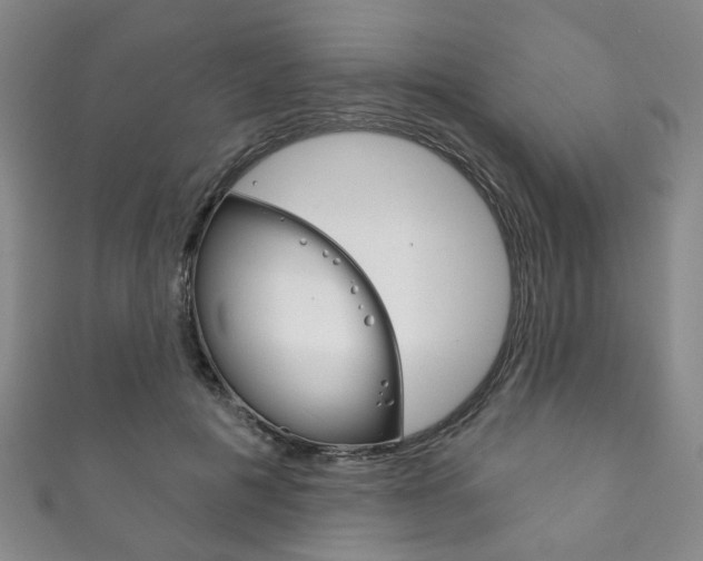 X0000111870601200907231153