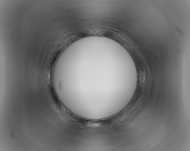 X0000111870602200907231153