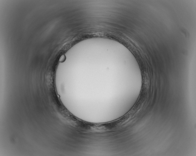 X0000111870603200907231153