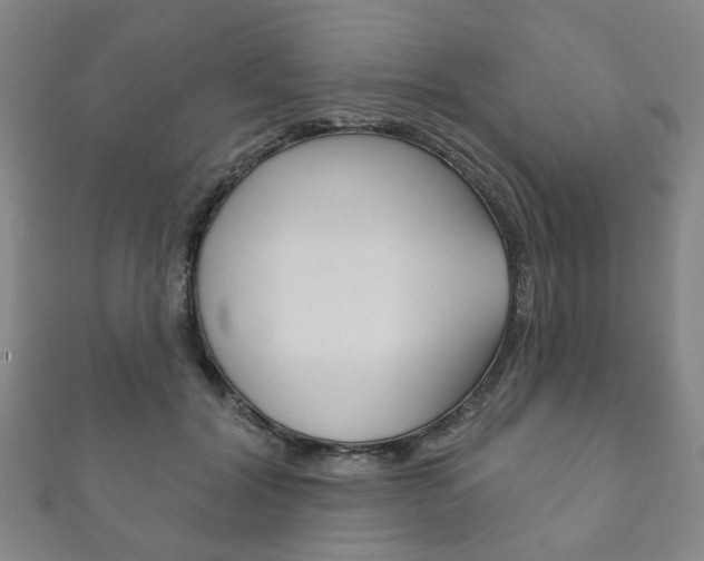 X0000111870604200907231153