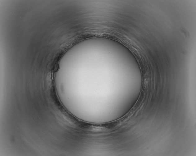 X0000111870605200907231152