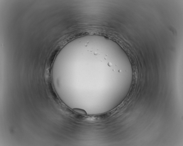 X0000111870611200907231152