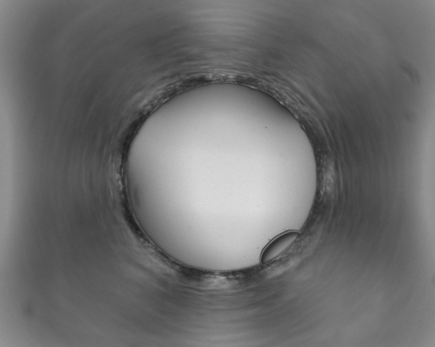 X0000111870616200907231152