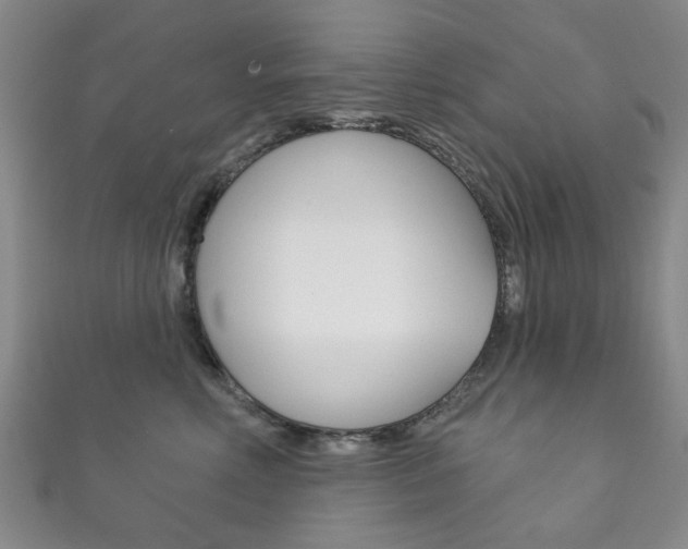 X0000111870618200907231152
