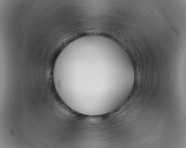 X0000111870619200907231152