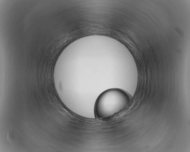X0000111870621200907231152