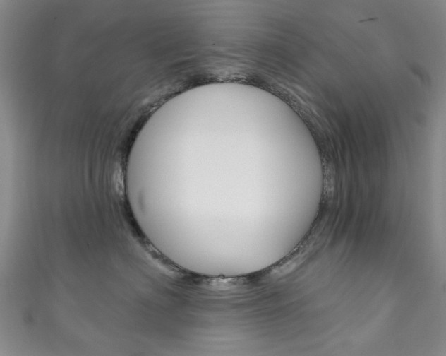 X0000111870622200907231152