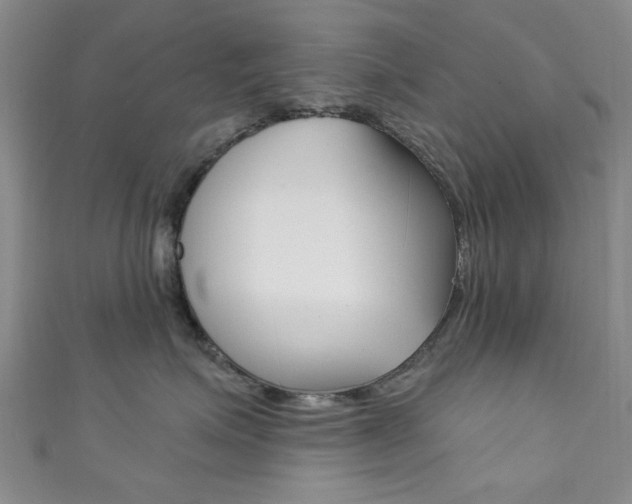 X0000111870623200907231152