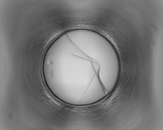 X0000111870625200907231152