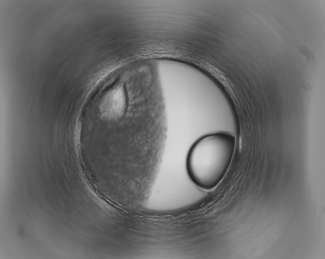 X0000111870627200907231152