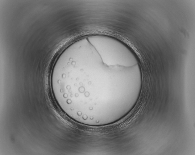 X0000111870629200907231152