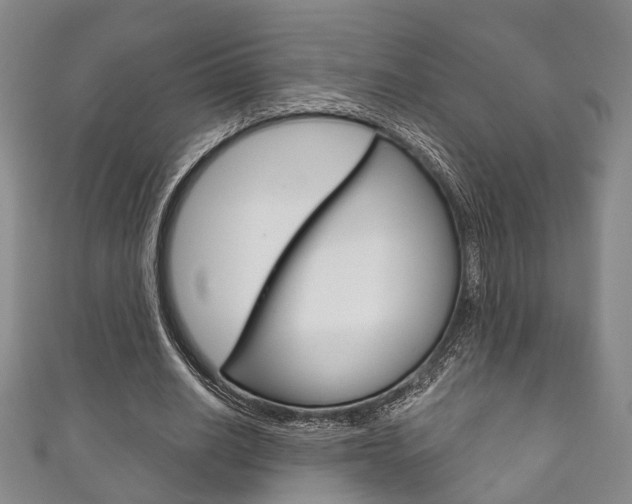 X0000111870630200907231152