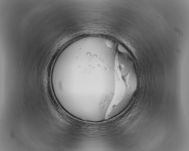 X0000111870631200907231152