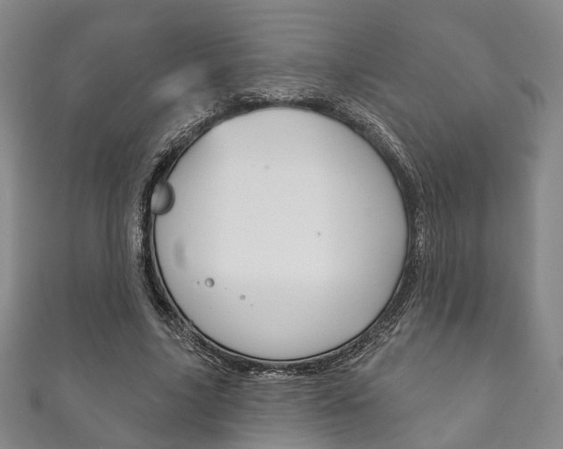 X0000111870635200907231152