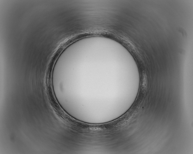 X0000111870636200907231152