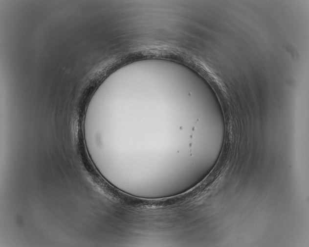 X0000111870637200907231152