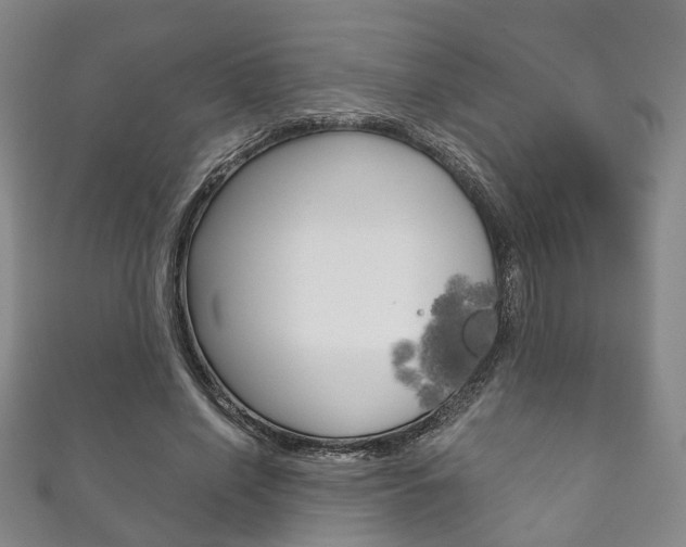 X0000111870638200907231152