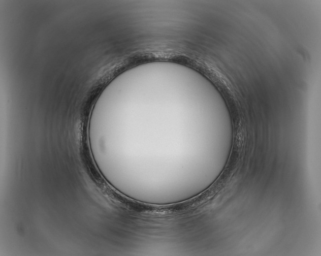 X0000111870639200907231152