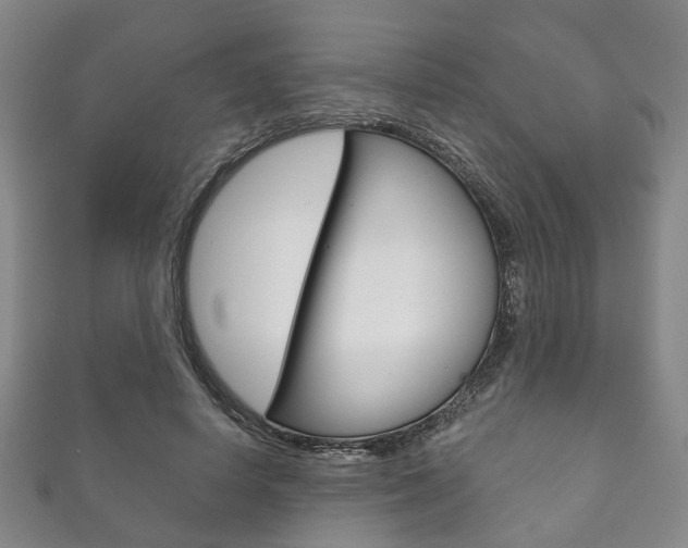 X0000111870642200907231152