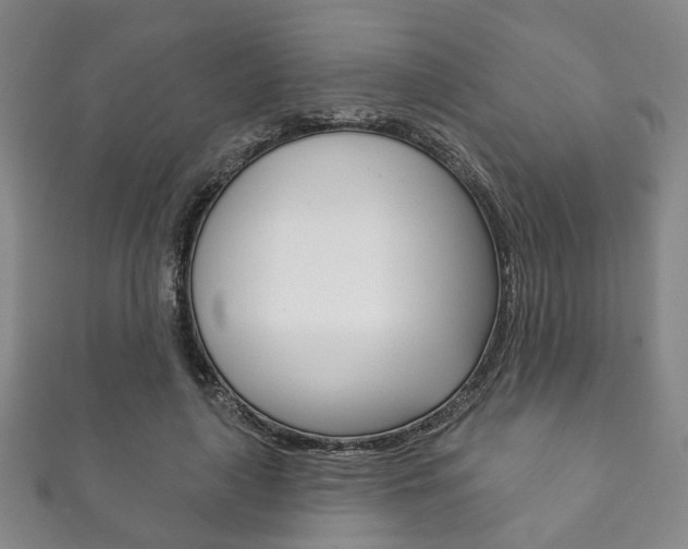 X0000111870643200907231152