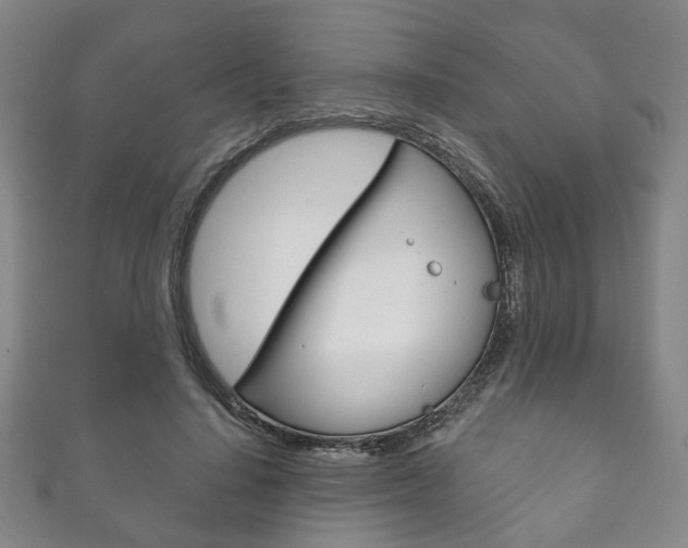 X0000111870644200907231152