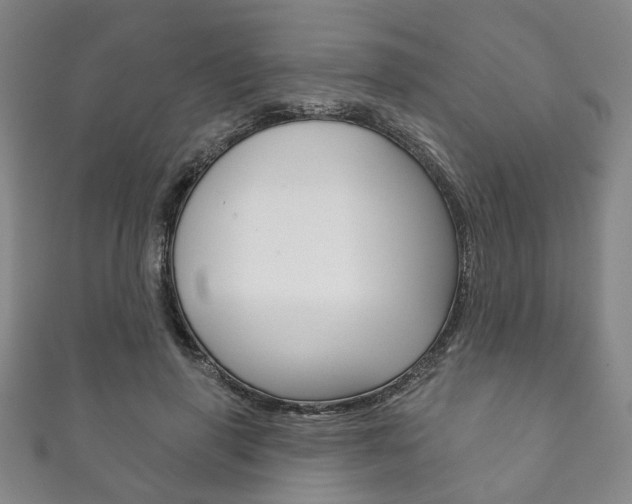 X0000111870645200907231152