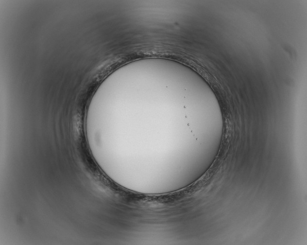 X0000111870648200907231152