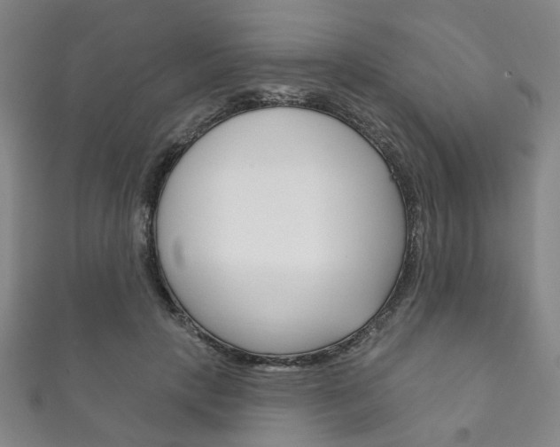 X0000111870649200907231152