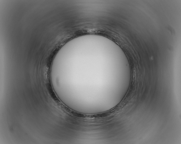 X0000111870650200907231152