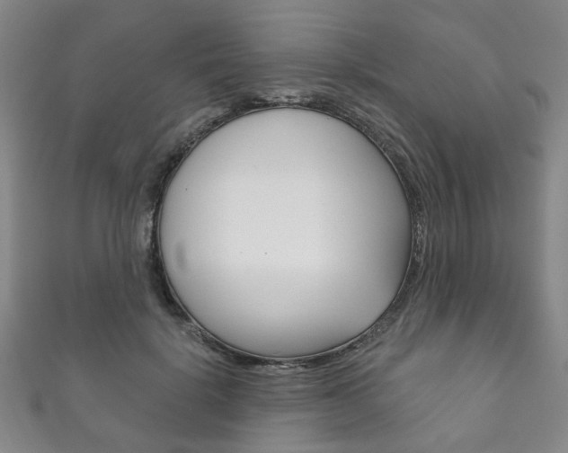 X0000111870652200907231152