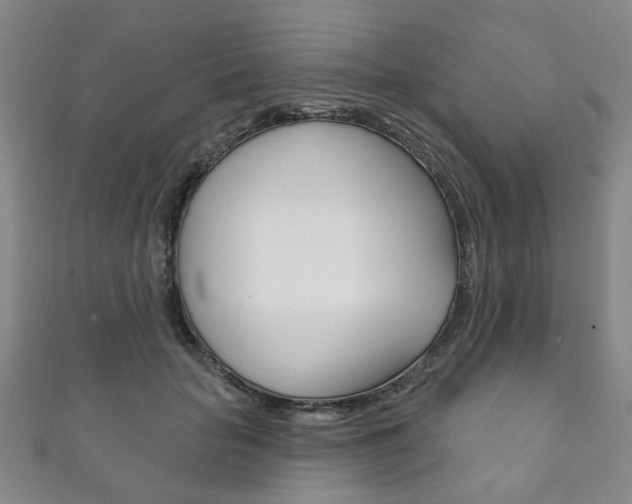 X0000111870653200907231152