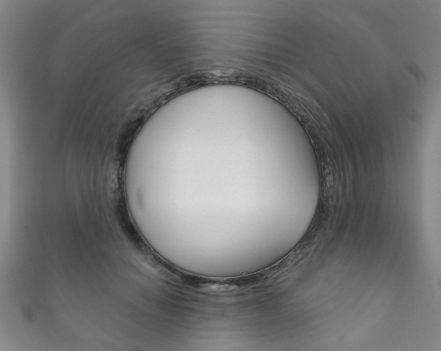 X0000111870654200907231152