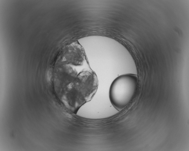 X0000111870665200907231152