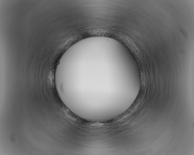 X0000111870669200907231152