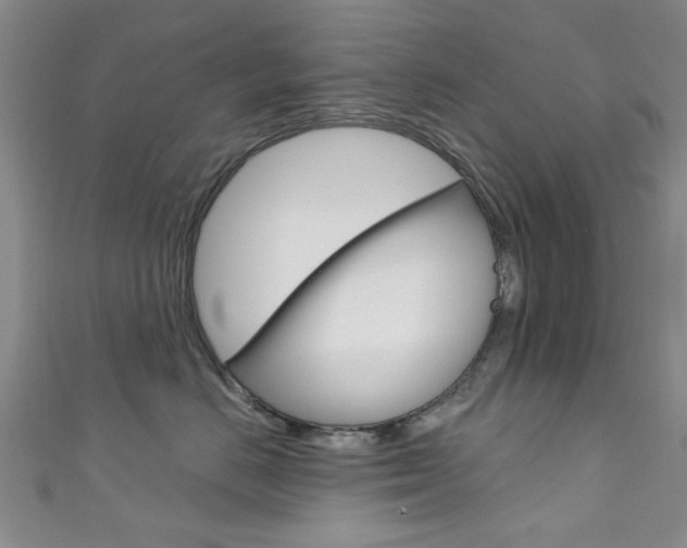 X0000111870670200907231152