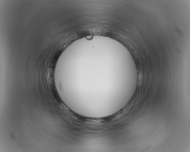 X0000111870671200907231152