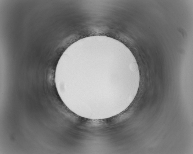 X0000111870672200907231152