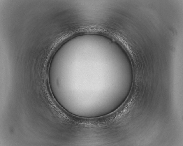 X0000111870673200907231152