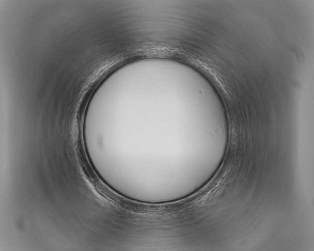 X0000111870674200907231152