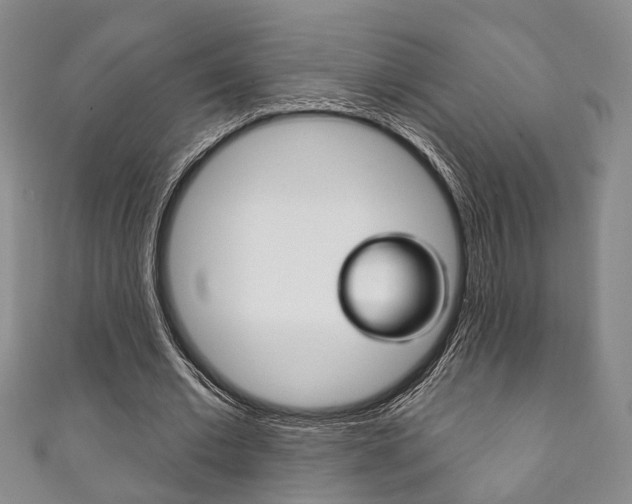 X0000111870677200907231152
