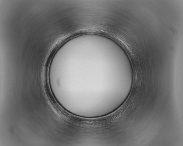 X0000111870678200907231152