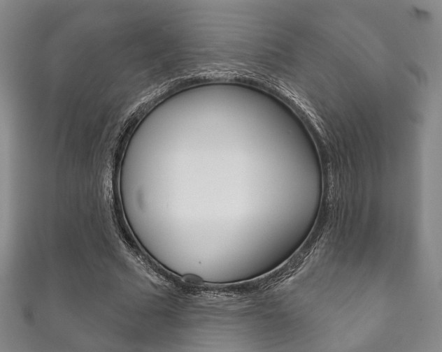 X0000111870681200907231152