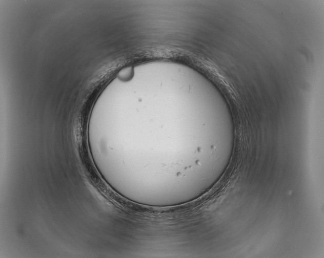 X0000111870683200907231151