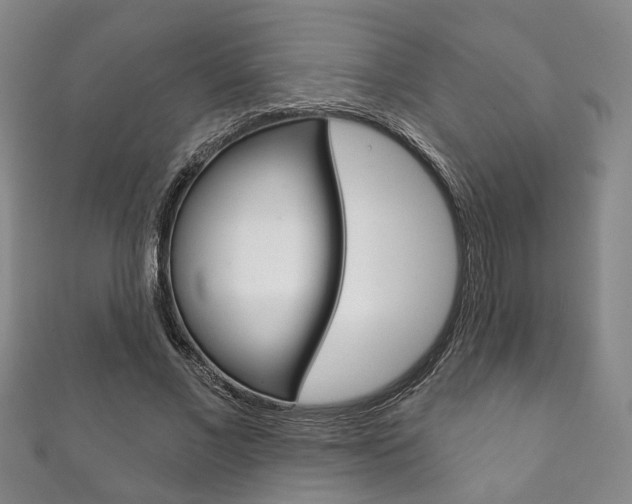 X0000111870685200907231151