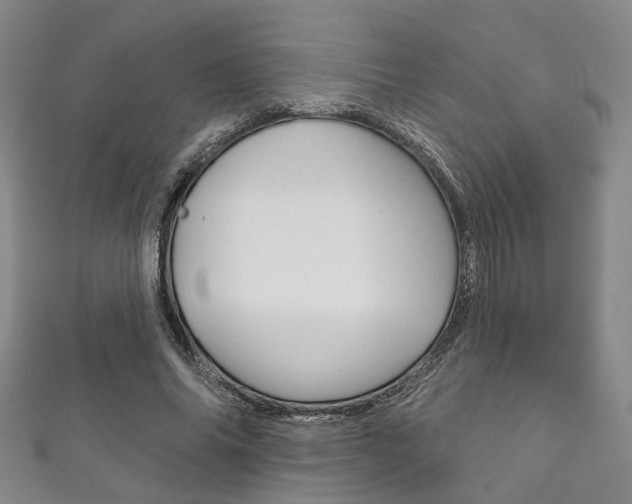 X0000111870686200907231151