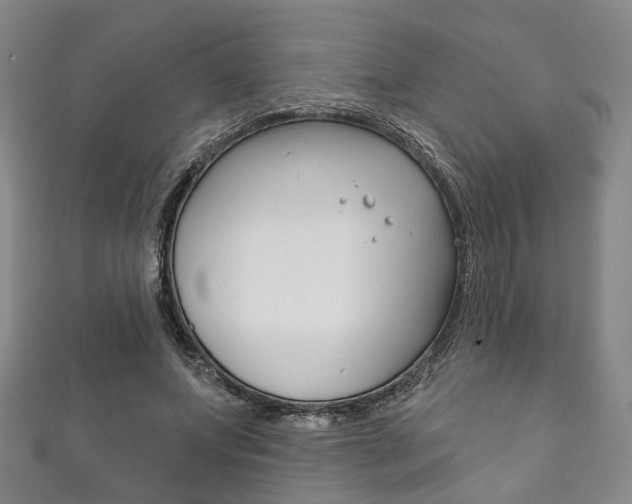 X0000111870687200907231151