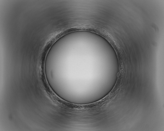 X0000111870688200907231151