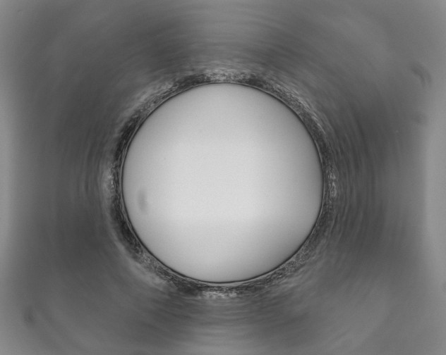 X0000111870690200907231151